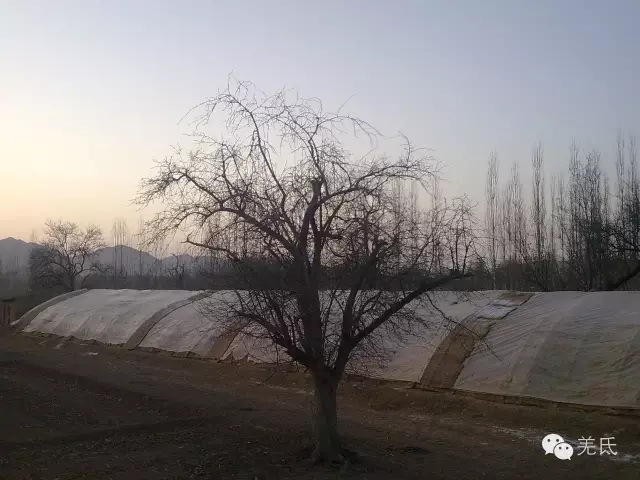 怀念故乡往日时光图片,怀念过去家乡的视频