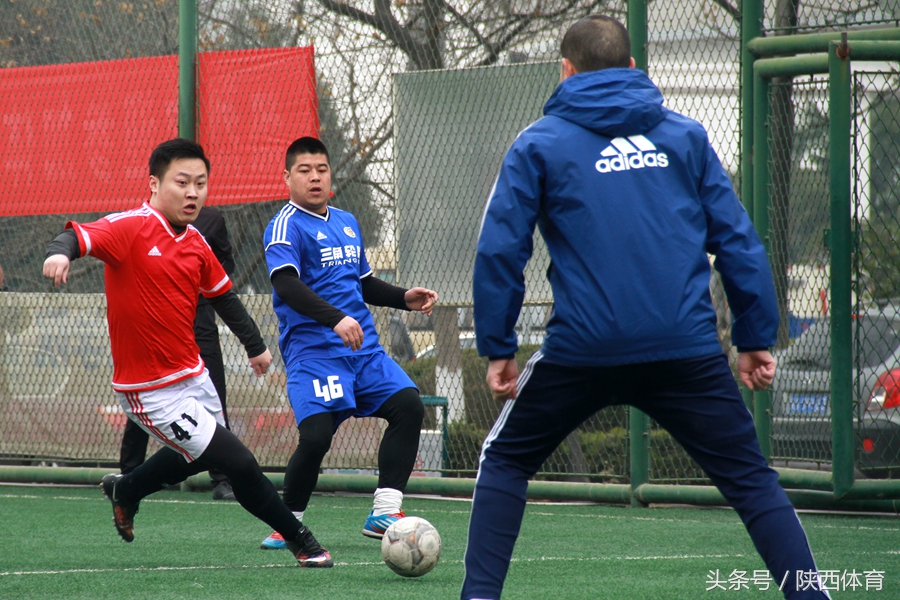 植树节手工种下一棵树留住一片绿,植树节推荐足球