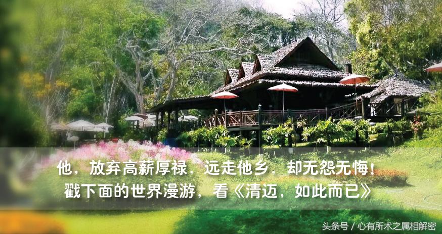 3月15日生肖运程,2023年3月13日生肖运势