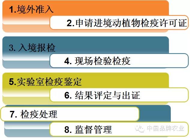 进口水果报关办理流程 (新郑机场进口水果报关)