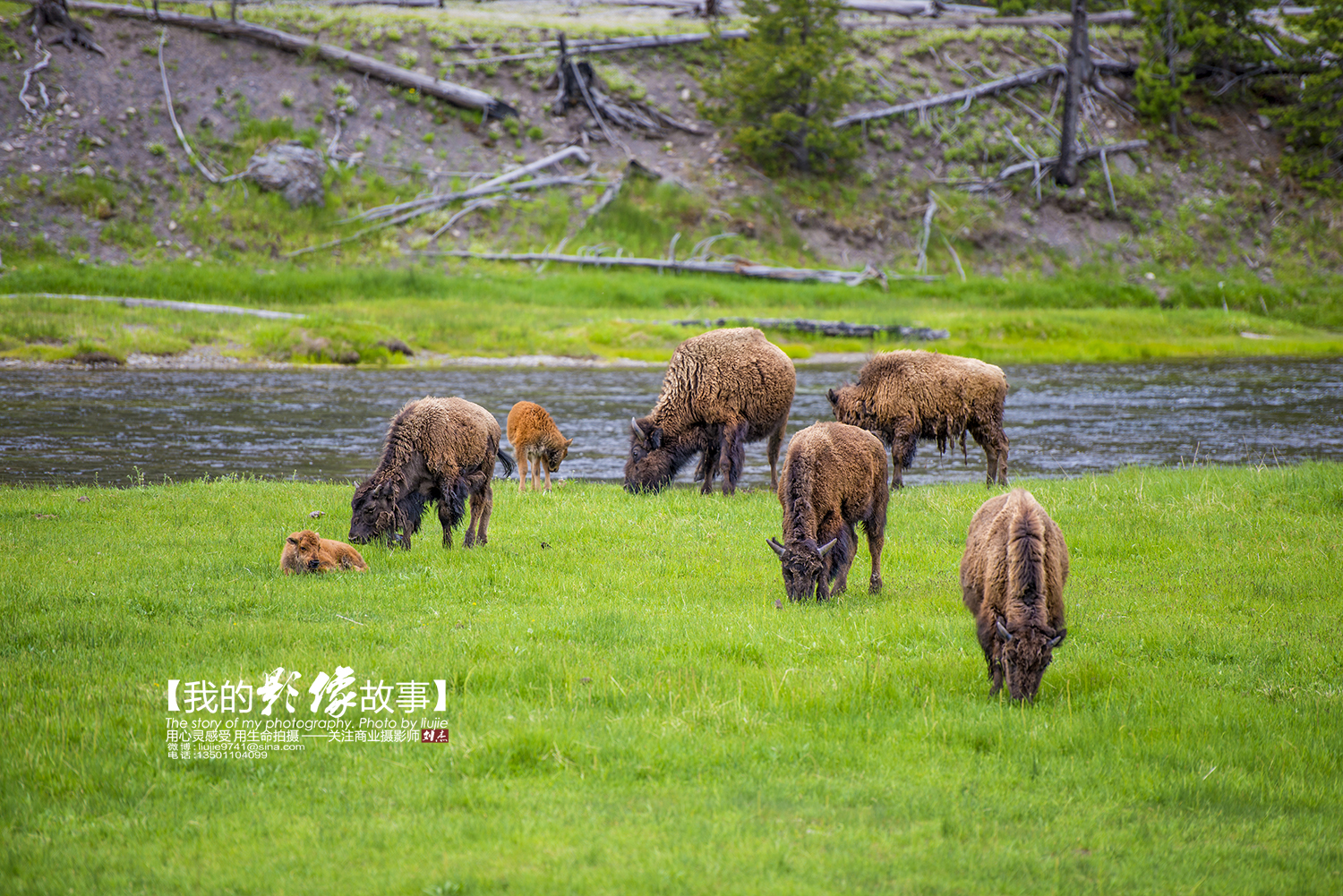 黄石公园十大景点排名表最新,国家地理公认前十景点