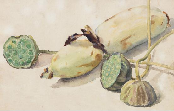 羊肉煮莲藕有营养吗,莲藕排骨汤的营养