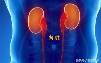 肝毒素太多有什么表现,肝脾肾三脏失调引起什么症状