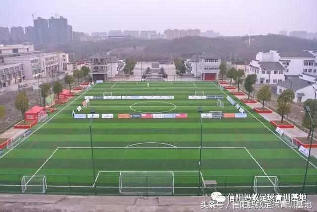 2017“我爱足球”信阳市康乐体育城足协杯四分之一决赛集锦