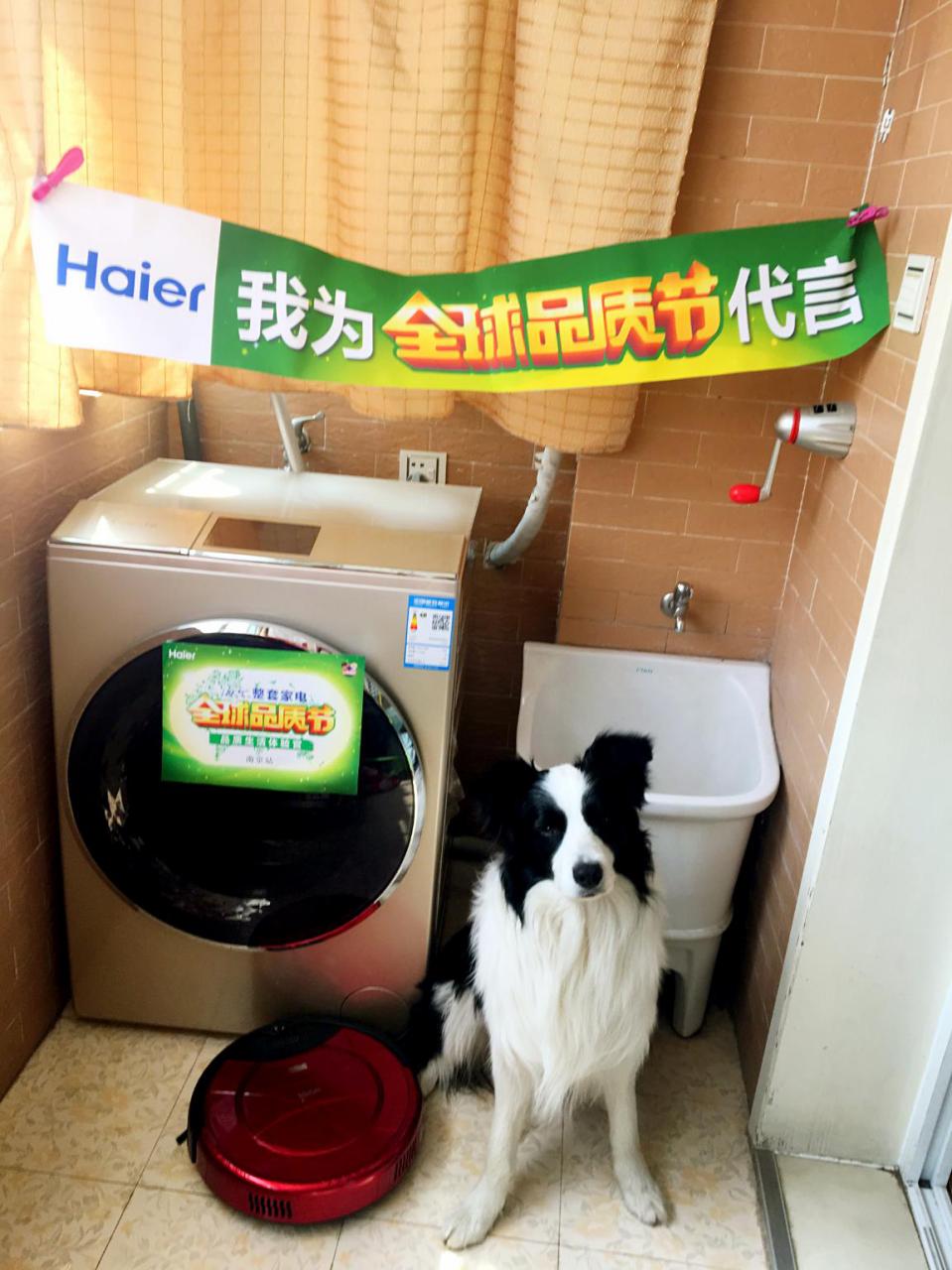 卡萨帝聪颖洗衣,卡萨帝洗衣程序推荐