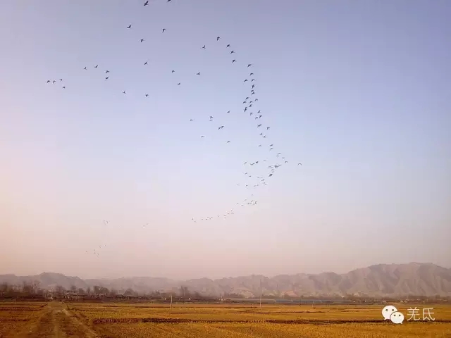 怀念故乡往日时光图片,怀念过去家乡的视频