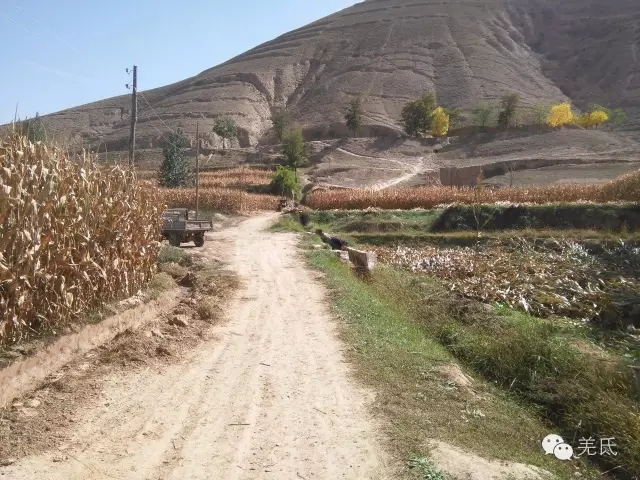 怀念故乡往日时光图片,怀念过去家乡的视频