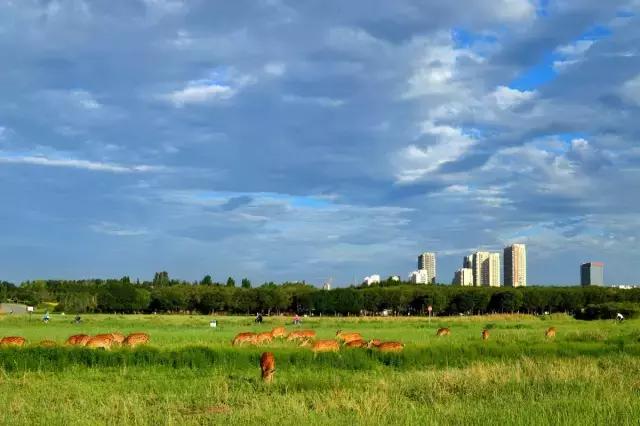 呼和浩特和包头哪个城区大,内蒙古包头和呼市哪个地方大