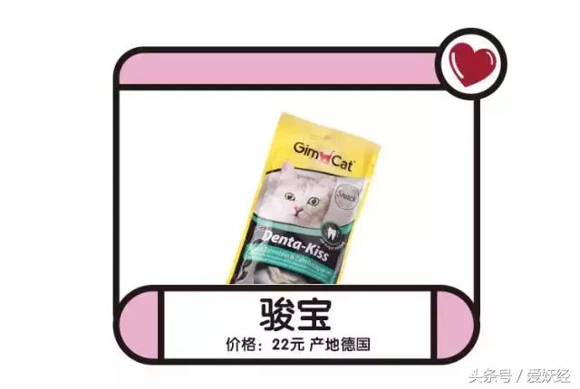 宠物洁牙方法,无麻醉宠物洁牙教程