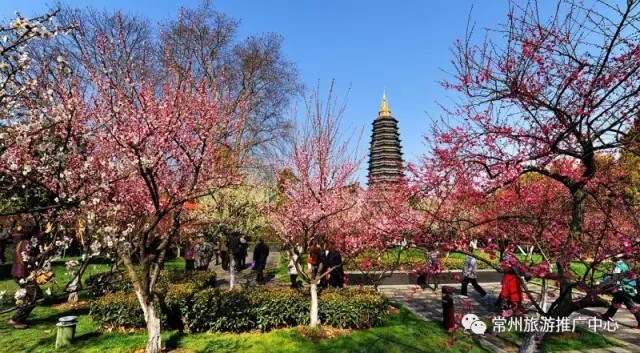 常州景区半价活动,女神节附近有免门票的景点吗