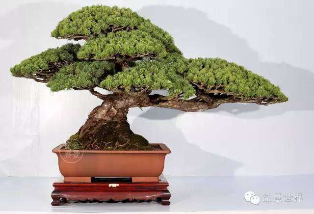 你有一份邀请函需要接收吗,你有一封来自最潮单品的邀请函