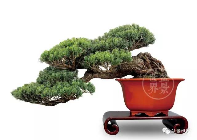 你有一份邀请函需要接收吗,你有一封来自最潮单品的邀请函