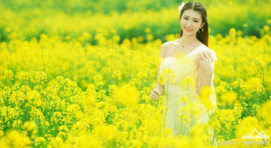 2018汉中油菜花主会场自驾游路线,2018年汉中油菜花海主会场揭秘