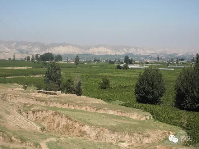 怀念故乡往日时光图片,怀念过去家乡的视频