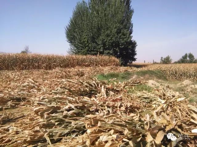 怀念故乡往日时光图片,怀念过去家乡的视频