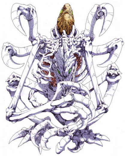 数码宝贝进化所有形态图片,数码宝贝各个阶段最强的数码兽