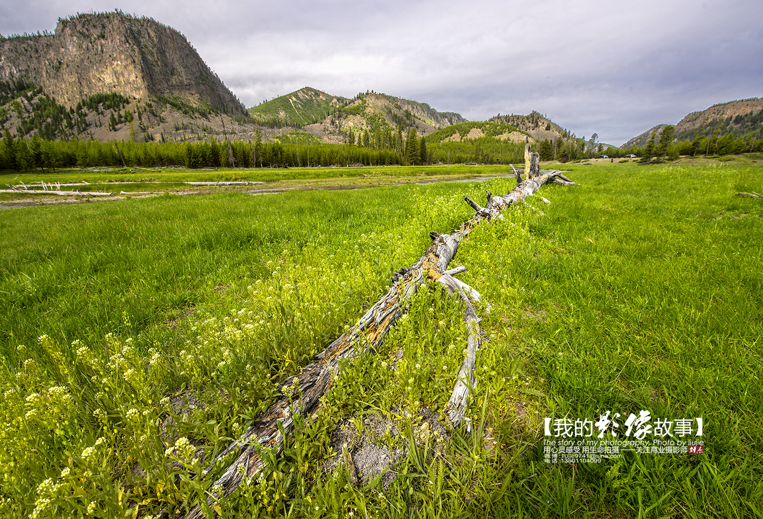 黄石公园十大景点排名表最新,国家地理公认前十景点