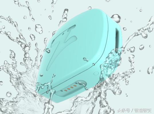 一只猫一套房子值钱吗,一只猫一套房子值多少钱