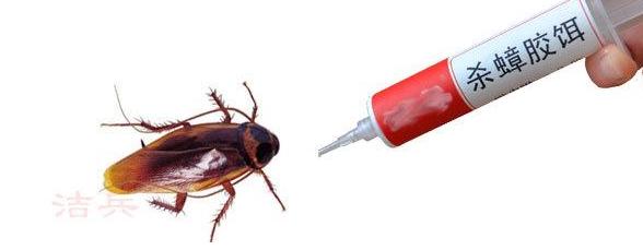小车里面有蟑螂怎么消除,小车里有蟑螂解决办法