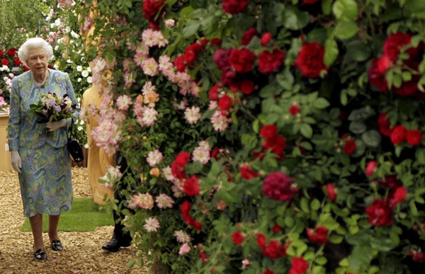 关于那些偷偷惊艳你的国货,一些不常见但能惊艳你的国货