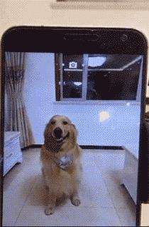 密集恐惧症不谨慎看到了怎么办,密集恐惧症的最可怕瞬间