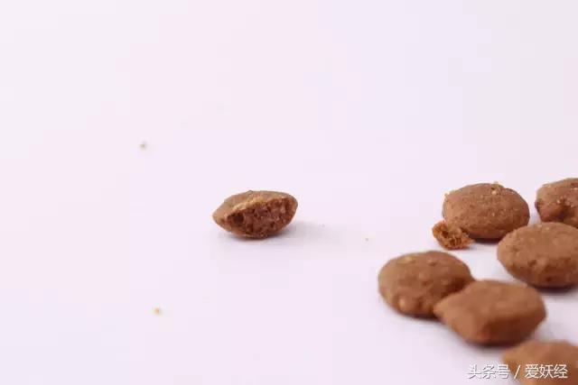 宠物洁牙方法,无麻醉宠物洁牙教程