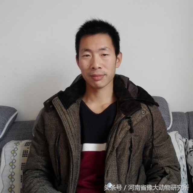 仔猪补铁的不良反应,哺乳仔猪补铁过敏反应及治疗