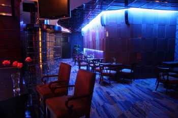 酒吧里酒托女,贵阳酒托现场