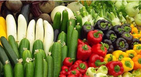 农村电商的创业风口有哪些,财富观察