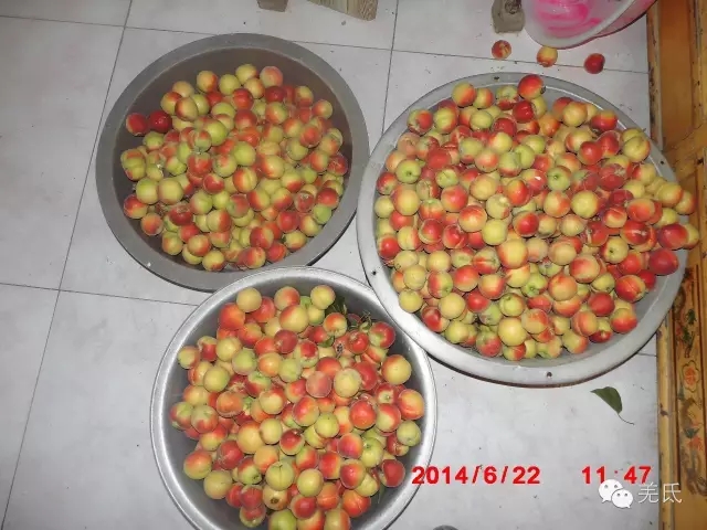 怀念故乡往日时光图片,怀念过去家乡的视频