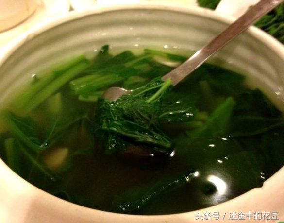 终于到了万物苏醒的春天，农家的野菜等着端上你家的餐桌（二）