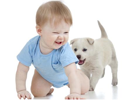 妈妈必学育儿方法视频播放,1岁之前宝宝早教学哪些