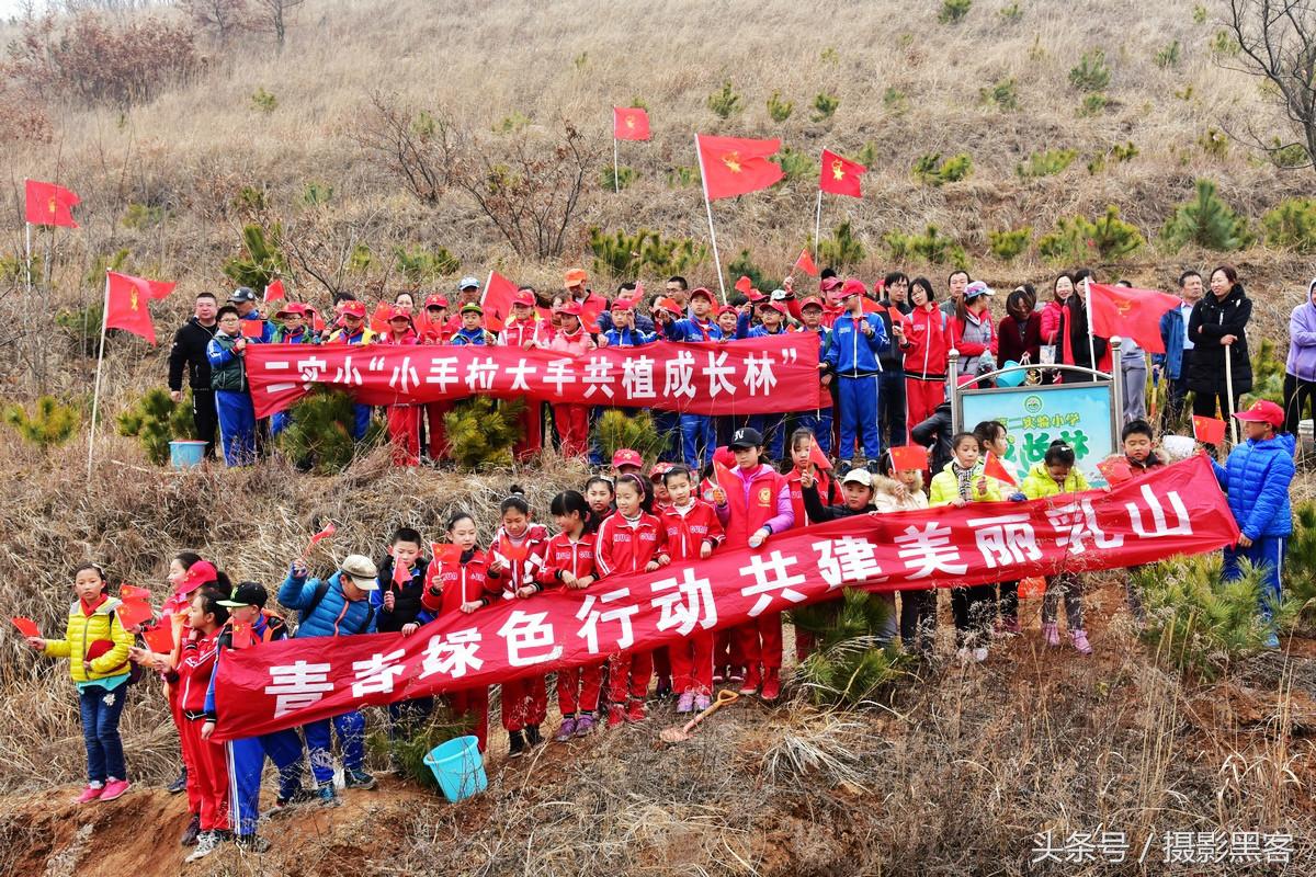 为什么让小学生上山植树造林，看完老师写的图文就明白
