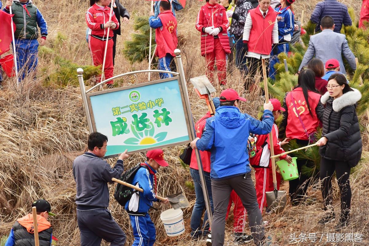 为什么让小学生上山植树造林，看完老师写的图文就明白