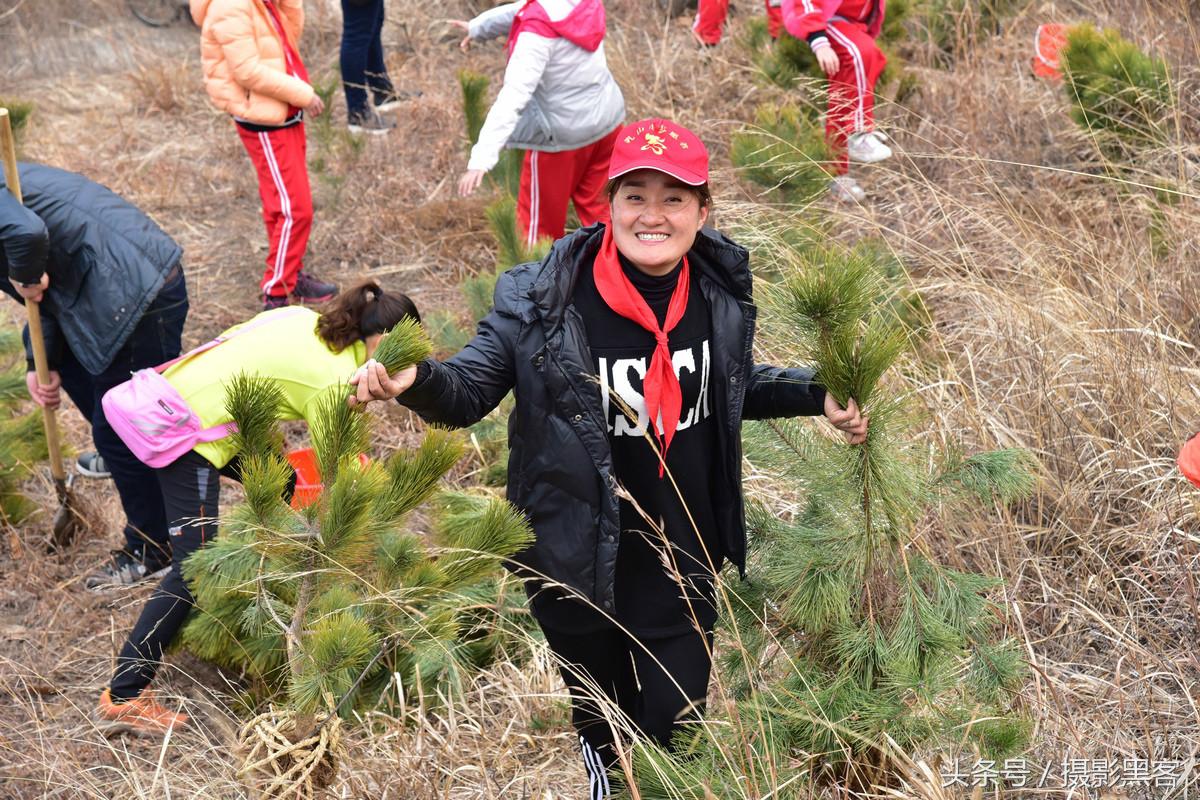 为什么让小学生上山植树造林，看完老师写的图文就明白