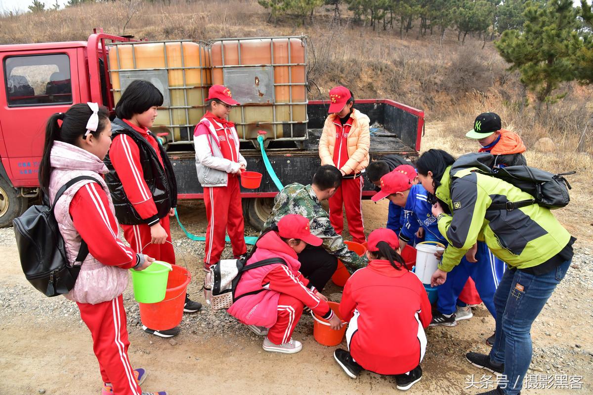 为什么让小学生上山植树造林，看完老师写的图文就明白