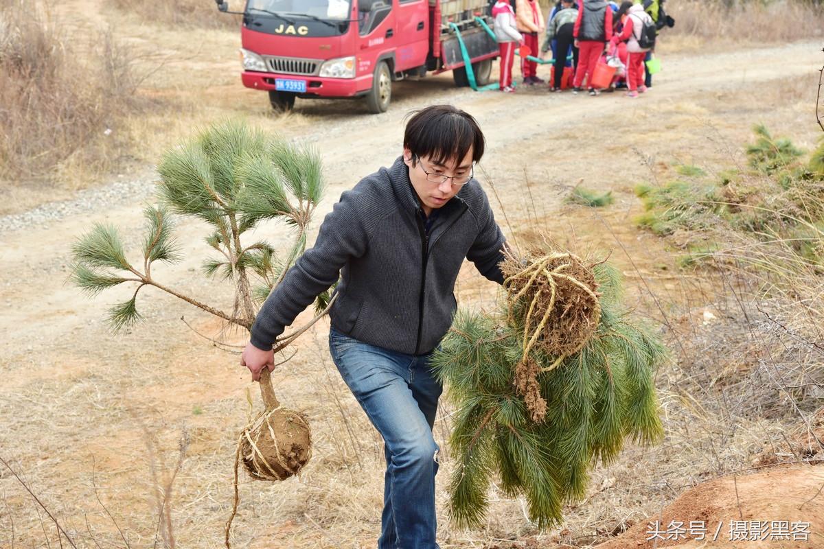 为什么让小学生上山植树造林，看完老师写的图文就明白