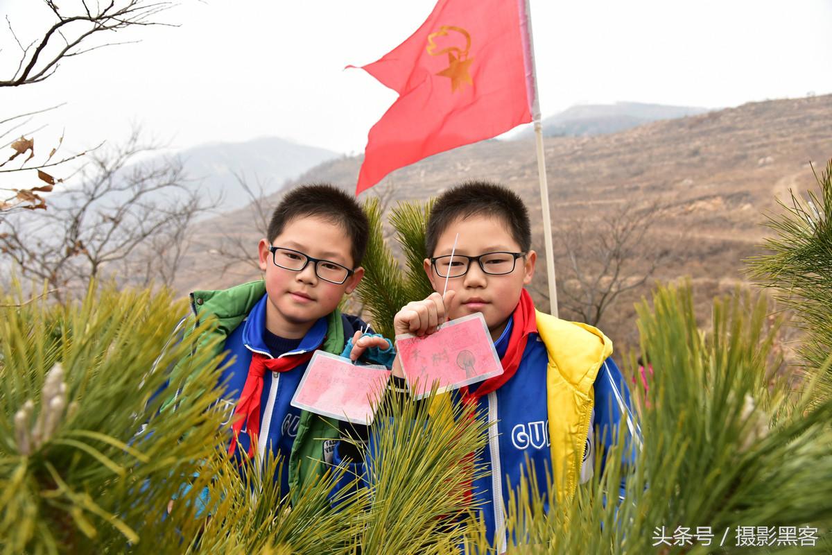 为什么让小学生上山植树造林，看完老师写的图文就明白
