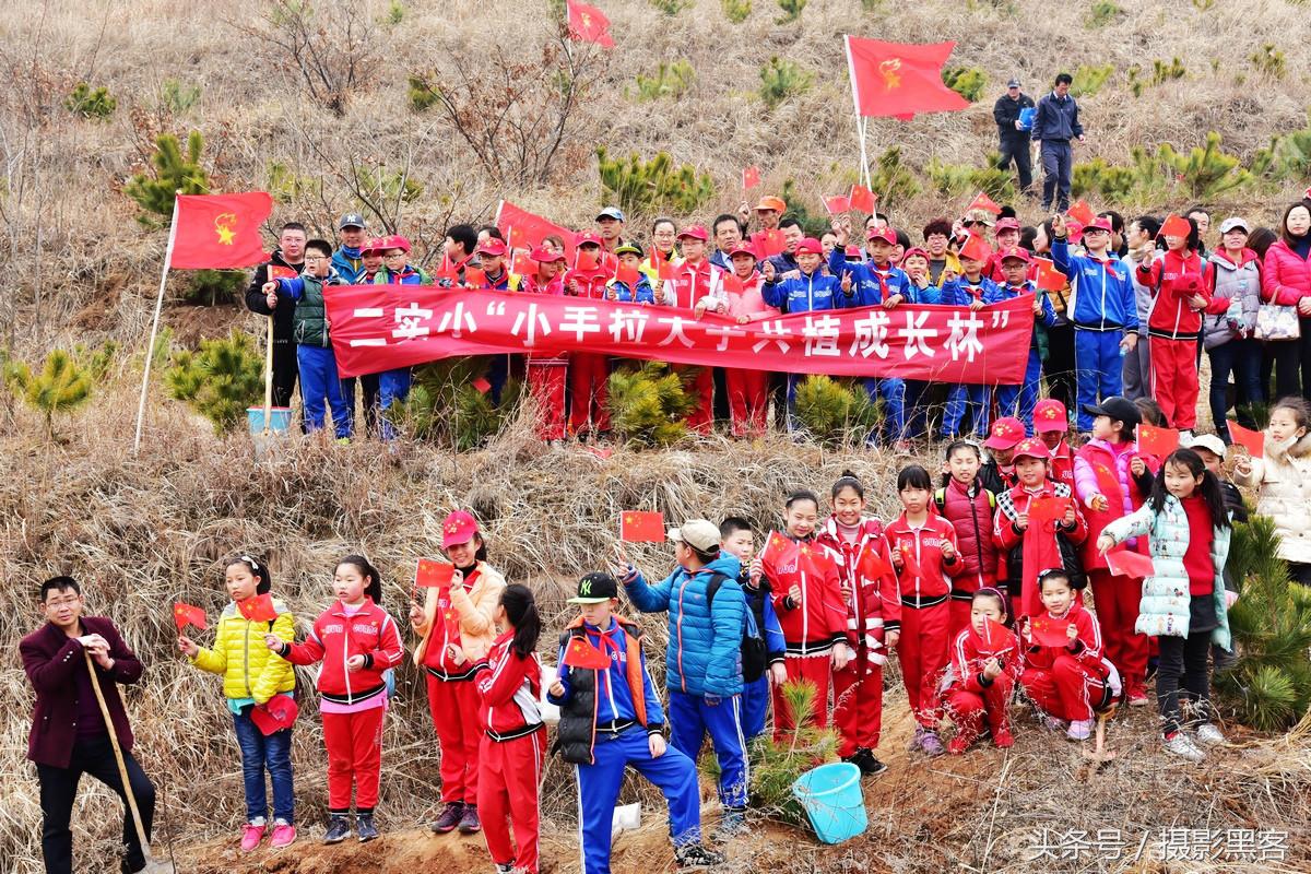 为什么让小学生上山植树造林，看完老师写的图文就明白