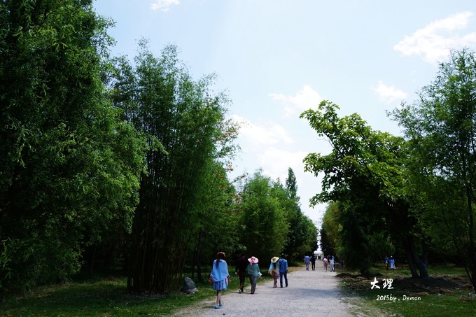 彩云以南，我们终于出发の我带着你，你带着钱！