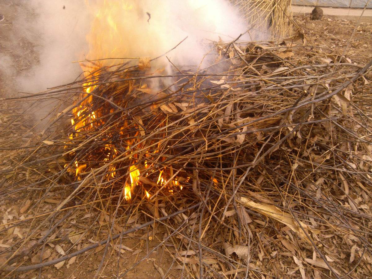 河南农村吓唬小孩的传说,农村骗子用小孩子骗小孩的视频