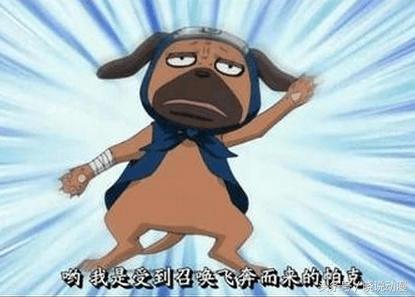 火影忍者通灵兽蛞蝓进阶,火影忍者纲手通灵兽蛞蝓