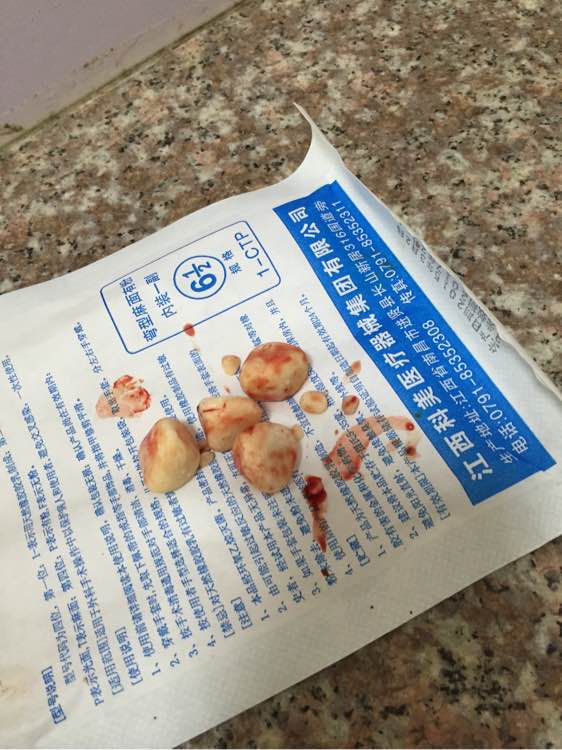 捡到的残疾泰迪狗,捡到被遗弃的泰迪