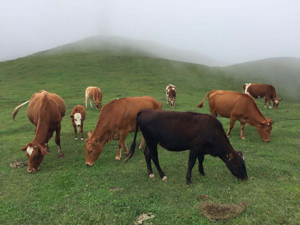 鑹绌轰腑瑙傛櫙,鑹澶╃┖涔嬪瀹㈡爤