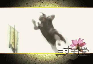 曾经惊艳了时代的经典古装男神,盘点长得帅却不火的古装男神