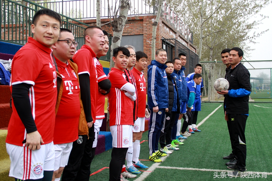 植树节手工种下一棵树留住一片绿,植树节推荐足球