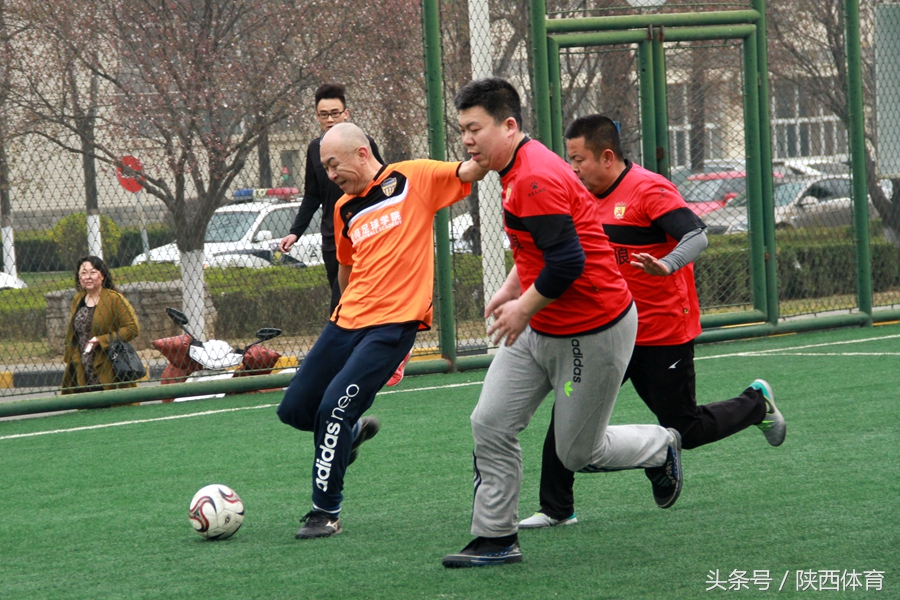 植树节手工种下一棵树留住一片绿,植树节推荐足球