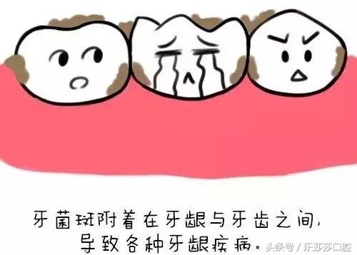 牙齿掉出一小块石头,牙齿内侧掉出一块石头怎么回事