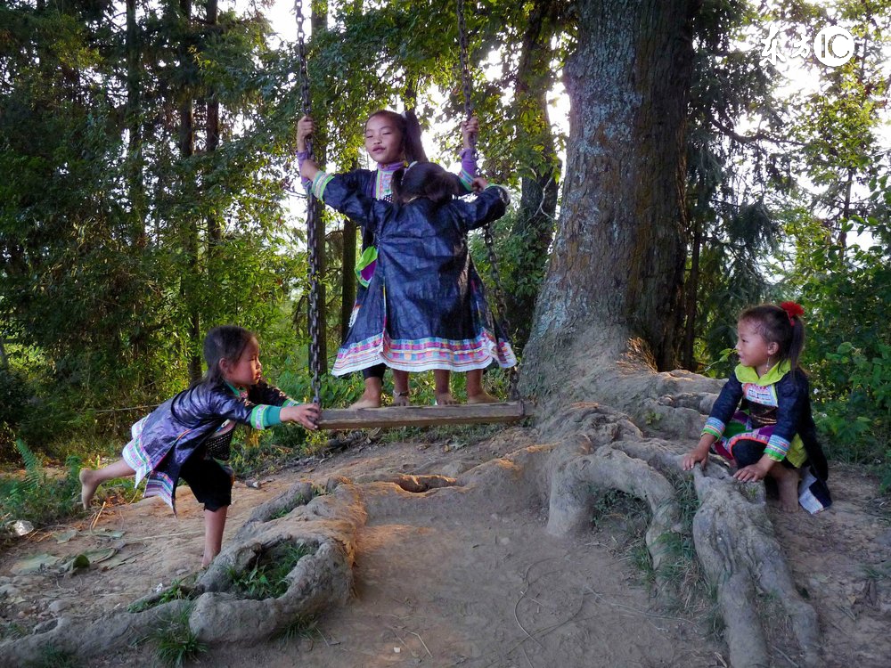 贵州话为什么有点像粤语,贵州人都听不懂的贵州土话