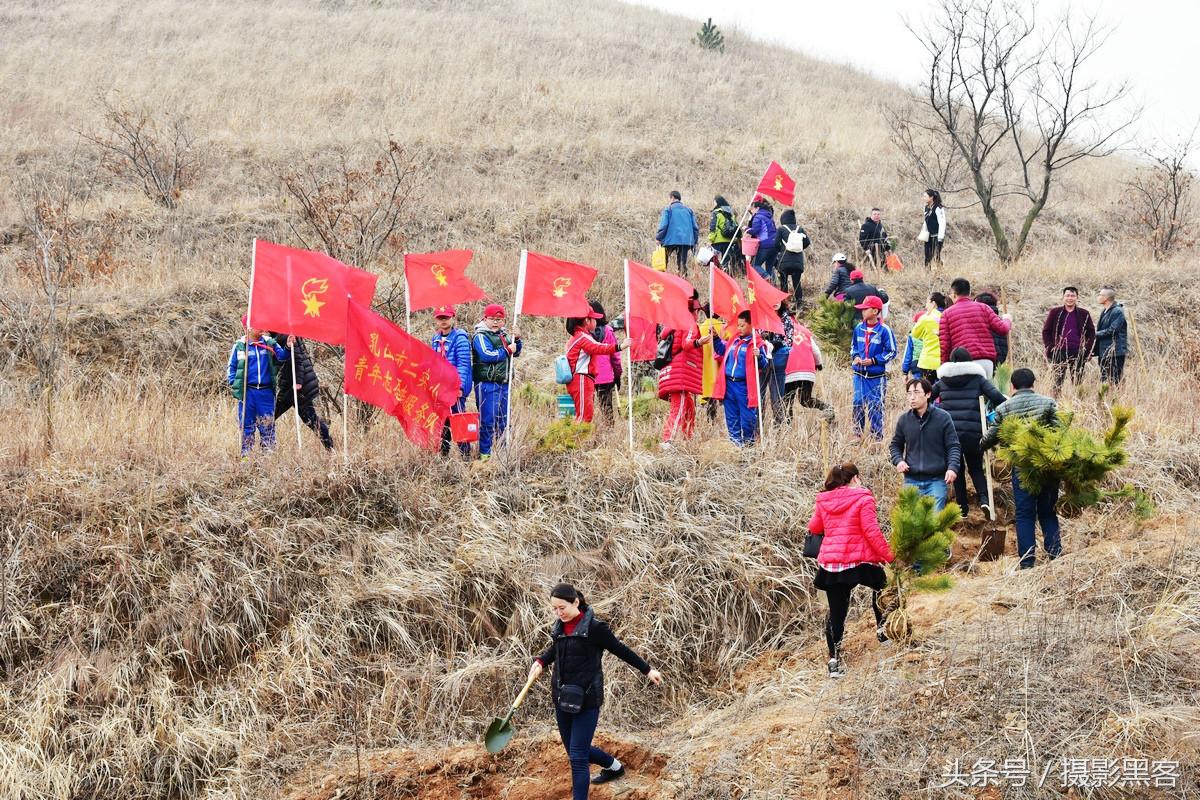 为什么让小学生上山植树造林，看完老师写的图文就明白